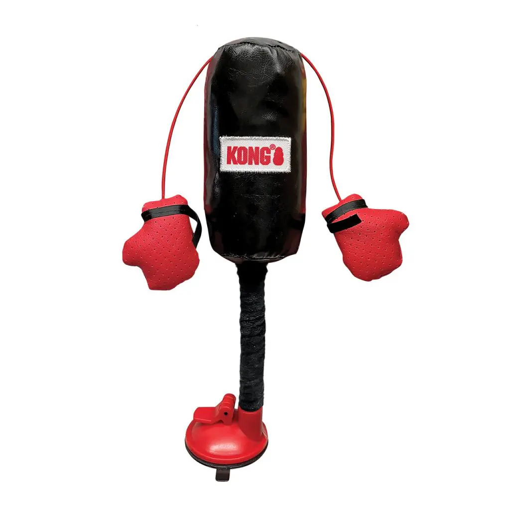 Saco boxeo1