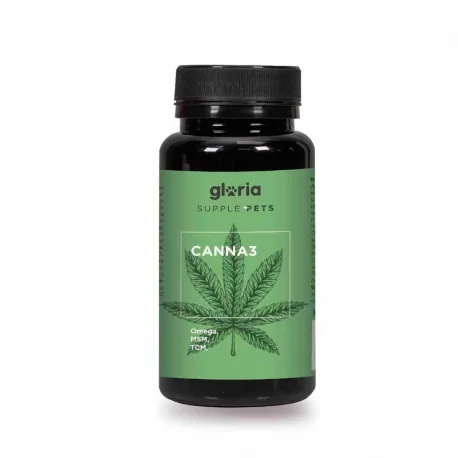 canna 3.1.jpg